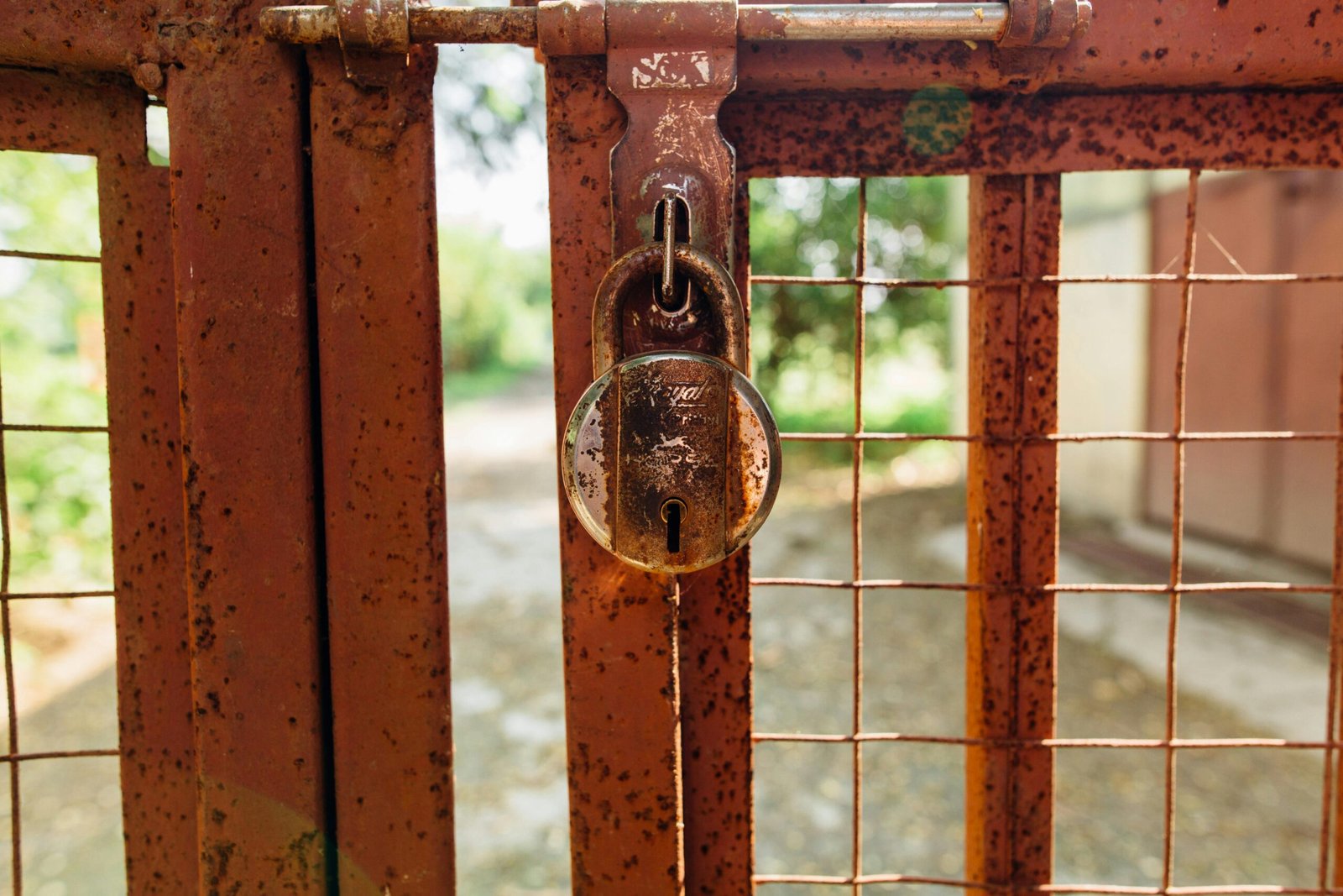 Close-up of a rusty padlock on a decaying metal gate, symbolizing security and decay.